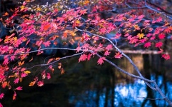 亚洲熟女乱色综合一区小说